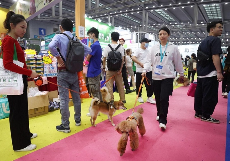 深圳特殊渠道宠物用品展