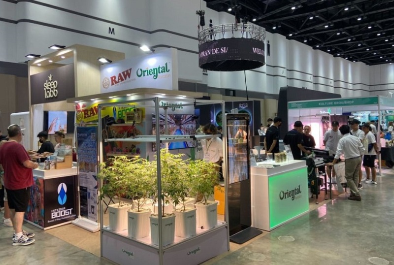 泰国曼谷大麻展-亚洲国际大麻论坛AIHEF