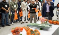 2027年墨西哥花卉园艺展览会展位预定流程+核心注意事项，企业参展快速上手
