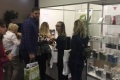 2026年匈牙利美容、化妆品、护肤品、美睫展览会(BEAUTY FORUM BUDAPEST)观展指南