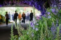 2027年英国切尔西花展(RHS Chelsea Flower Show)门票购买方式