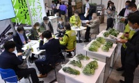 日本九州未来农业展览会(AGRINEXT)2027年参展指南