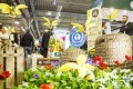 德国埃森花卉园艺展览会(IPM ESSEN)2027年展位预定流程，企业参展必备步骤+避坑要点