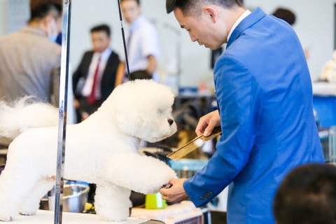 山东济南国际宠物供应链博览会展会现场图片