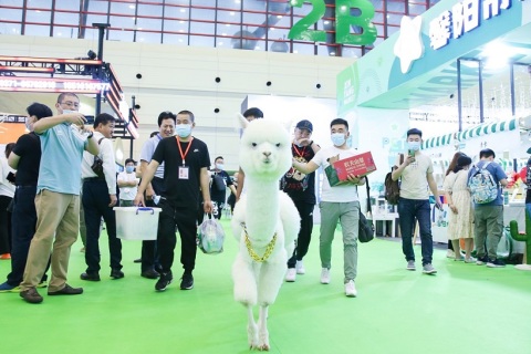 山东济南国际宠物供应链博览会展会现场图片