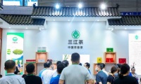 2026年上海国际茶产业博览会-上海茶博会全攻略