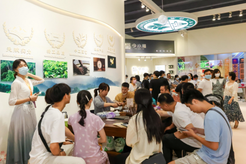 广州春季茶叶展-广州茶博会展会现场图片
