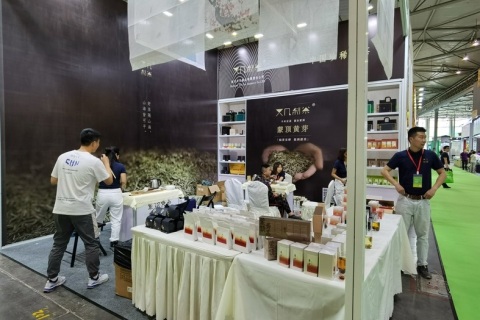 江苏南通国际茶博会展会现场图片