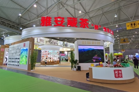 山东烟台茶博会展会现场图片
