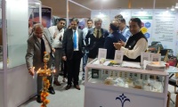 2027年印度油漆涂料展览会(PAINTINDIA)展示范畴