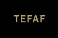 2027年美国纽约珠宝展-纽约艺术博览会(TEFAF New York)涵盖哪些展品类别？