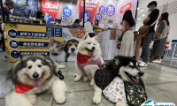 2025台湾宠物用品展览会展位图与展位申请