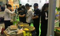 2025重庆国际茶产业展-重庆茶博会观众登记及注意事项