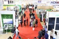 2027年摩洛哥太阳能展览会(Solaire Expo Maroc)将展出哪些内容？