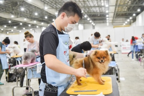 新加坡宠物用品展览会展会现场图片