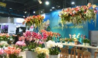 2027年中国(上海)国际花卉园艺展览会(Hortiflorexpo IPM Shanghai )涵盖哪些展品类别?