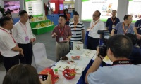 2027年中国南京国际食用油产业展览会(IEOE)展示范畴