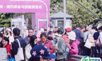 广州国际游艇展览会2025时间表及地址