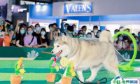 上海亚宠展2025时间和举办地点