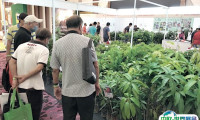 马来西亚农化农业展2025时间及地点