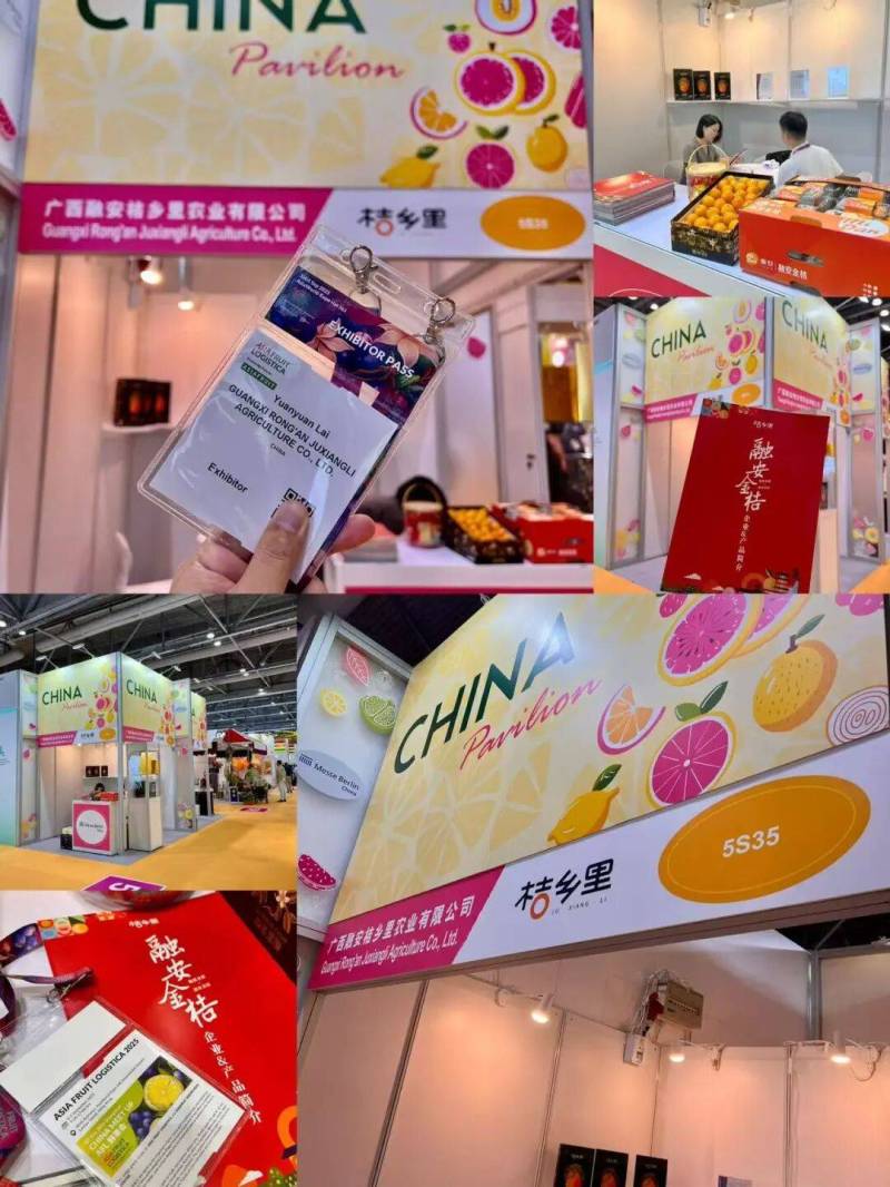 融安脆蜜金桔亮相2025年香港亚洲国际果蔬展 | 桔乡里