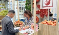 2026年波兰国际水果种植展览会展位申请预约标准流程