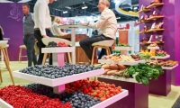 2026年波兰国际水果种植展览会展位预定流程+核心注意事项，企业参展快速上手