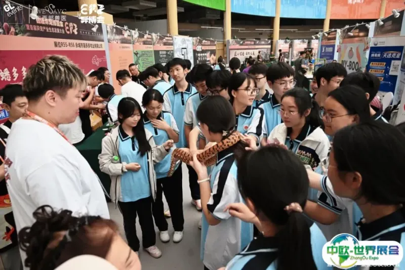 图片9.png