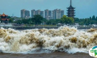 一座世界音乐小镇——盐官古城-潮乐之城即将亮相2025上海国际乐器展