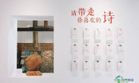 行走的海岸线｜海洋韵律敲开“中国诗歌之乡”临海村落打造“诗意栖居”
