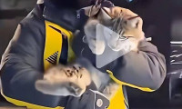 西宁野生动物园:获外卖员救助的猞猁幼崽最终未能挽回生命