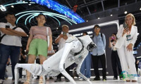 第四届中国—中东欧国家博览会暨国际消费品博览会拉开帷幕