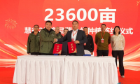 慧谷2号鲜食甘薯品种，在中国甘薯博览会引发热潮｜第七届中国甘薯产业博览会成功闭幕