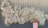 明年1月开幕！2026三亚观赏石博览会精彩看点提前揭秘