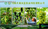 豫企亮相第十六届中国国际有机食品博览会成果丰硕