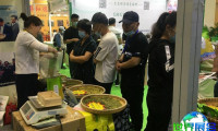 2026年沈阳茶博会展示哪些产品？