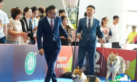 2026西安宠物展观众预先登记现已启动，精彩盛事即将呈现！