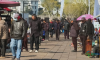 屯溪区第三届艺术收藏博览会与第二届徽州漆艺非遗展拉开帷幕