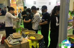 2026沈阳茶博会参展指南（时间地点/观众预约）