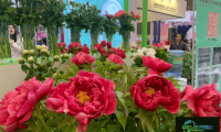 春色满园-2026年广州花卉产业博览会