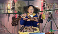 泸州“村播”的成长历程：一个个直播间，化作乡村振兴的“新动力”丨市州观察