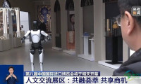 视频丨进博会人文交流区规模空前！3.8万平米展区有何亮点？