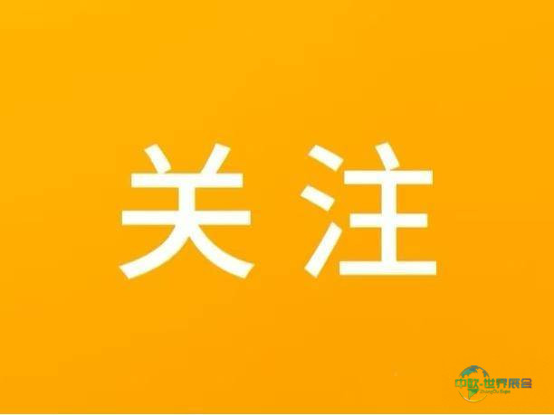我市参与第八届中国国际进口博览会纪实