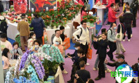 2025上海花卉园艺展将展出哪些内容？