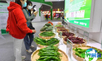 2026年湖南农业博览会日程与场馆信息