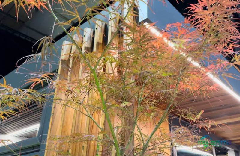 加拿大多伦多国际石材及石材技术展览会:石材与瓷砖趋势解析