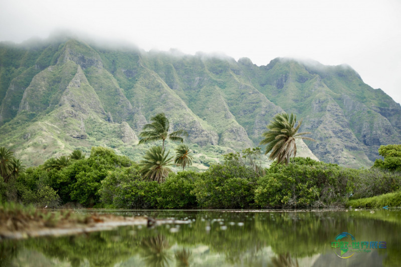 AQD-Hawaii-pexels-janine-speidel-700x394