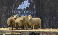 法国巴黎国际农牧业展 Concours GénÉral Agricole 2026年农业卓越盛会