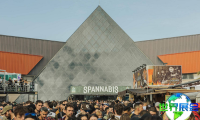 2026年西班牙大麻展将展出哪些内容？