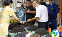 2026年临沂茶叶展览会（临沂茶博会）观展指南（日程地点+票价信息）